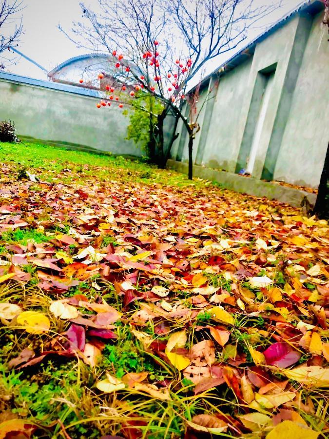 Emirest Villa Gabala Εξωτερικό φωτογραφία
