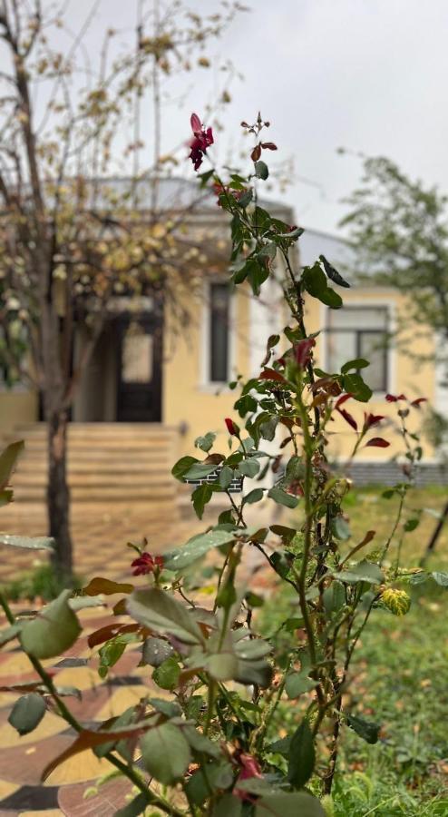 Emirest Villa Gabala Εξωτερικό φωτογραφία