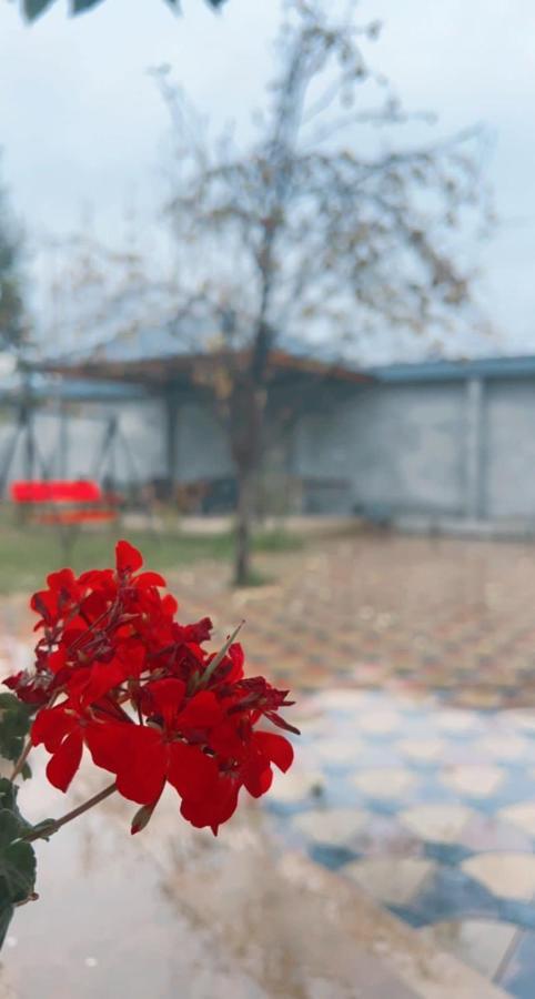 Emirest Villa Gabala Εξωτερικό φωτογραφία